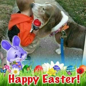 Meet your Posher, Ed